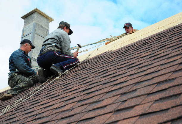 Best Storm Damage Roof Repair  in Barrington, IL
